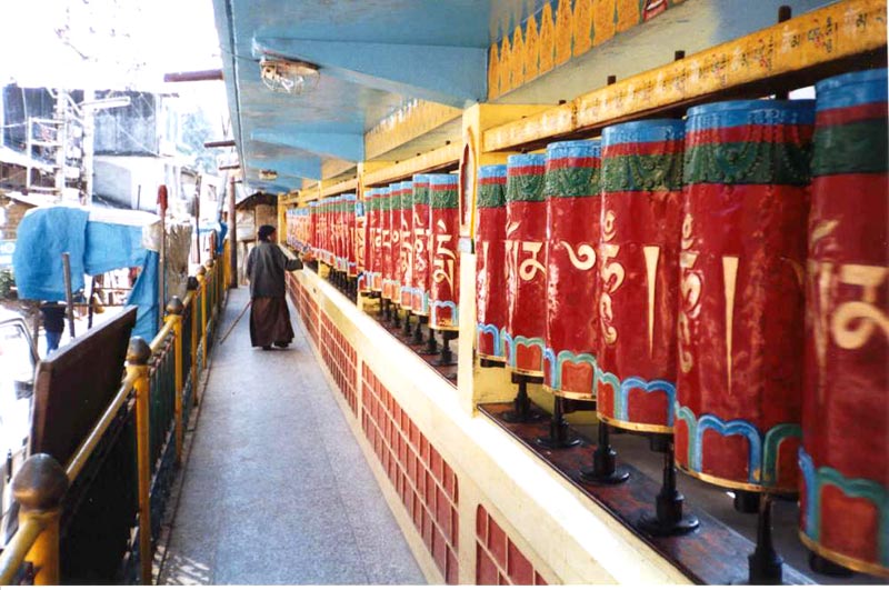 Exotic Himachal Honeymoon 