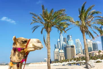 Dubai Holiday Tour Package 