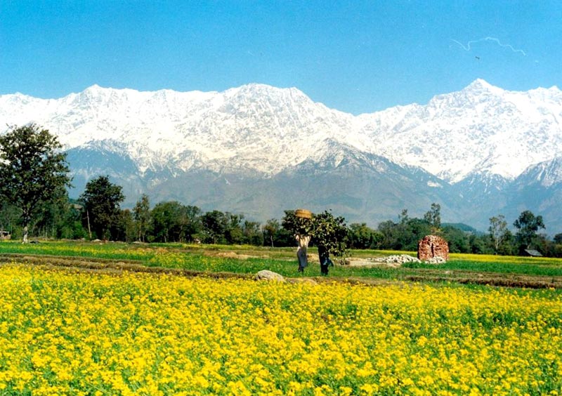 Himachal Holidays Tour