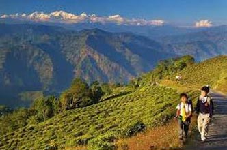 Darjeeling & Gangtok 4N/5D Tour