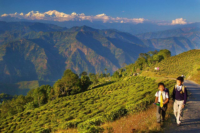 Enjoy Darjeeling Kalimpong Gangtok Tours - Make Your Best Holiday With Our Special Packages