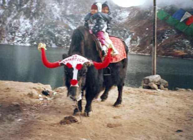 The One & Only Sikkim Tour