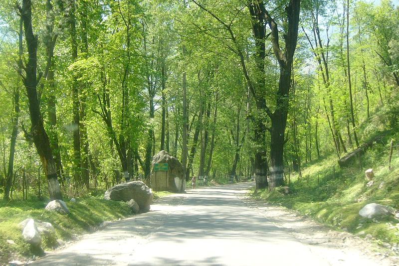 Adorable Himachal (Shimla-Manali) Tour