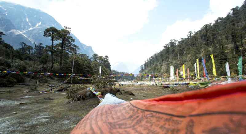 Kalimpong - Gangtok - Lachung - Pelling Tour