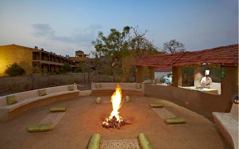 Madhya Pradesh - Wild Life - Pench Tour