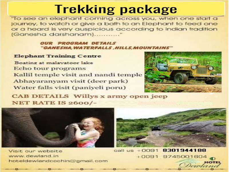 Kodanadu Trekking Packages