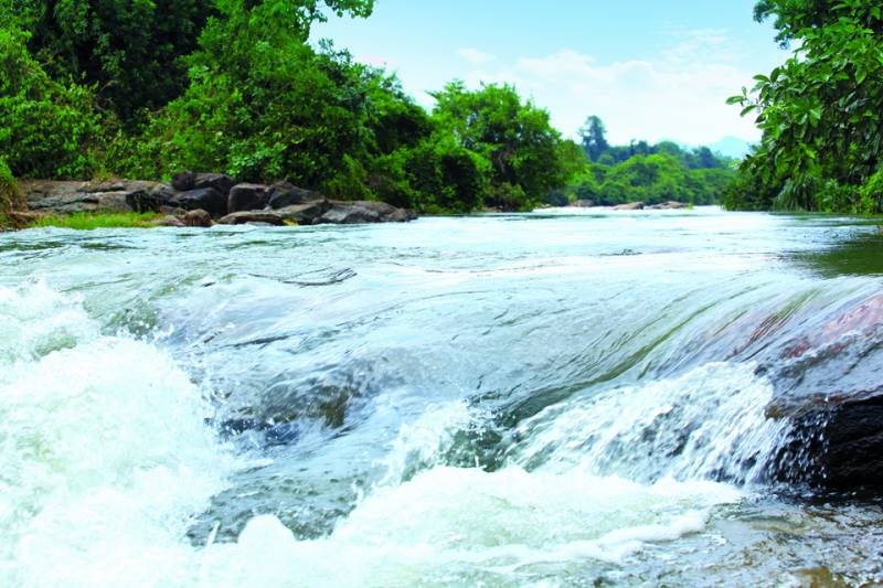 Kodanadu Trekking Packages