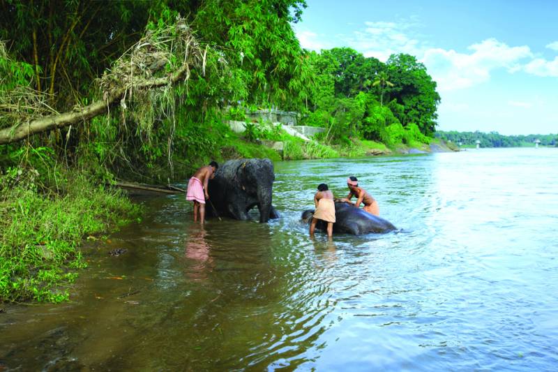 Honey Package ,Budget Package