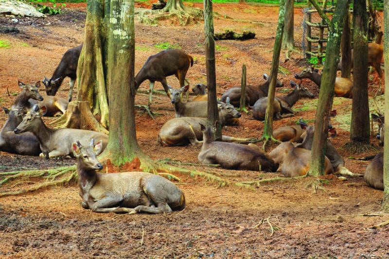 Honey Package ,Budget Package