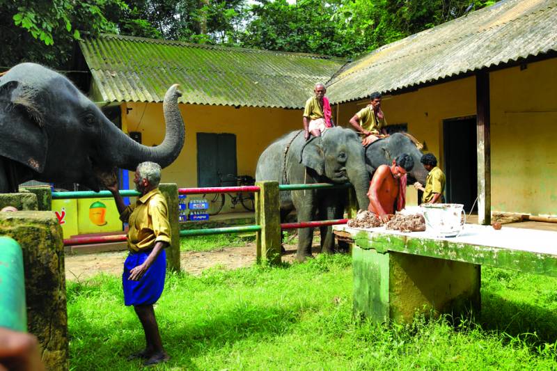 Honey Package ,Budget Package