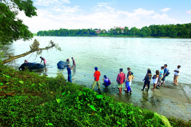 Honey Package ,Budget Package