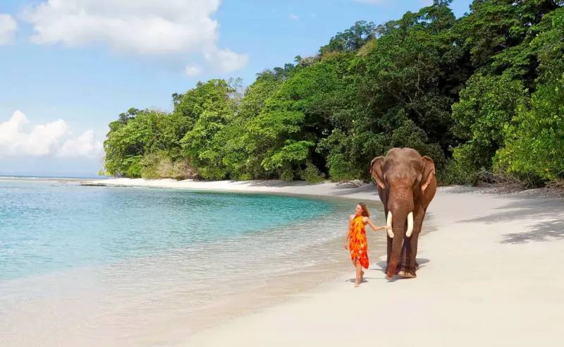 Exotic Andaman Tour