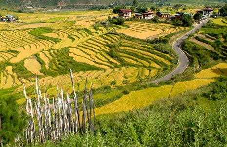 Paro Valley - Thimphu - Punakha - Gangtey Valley Tour