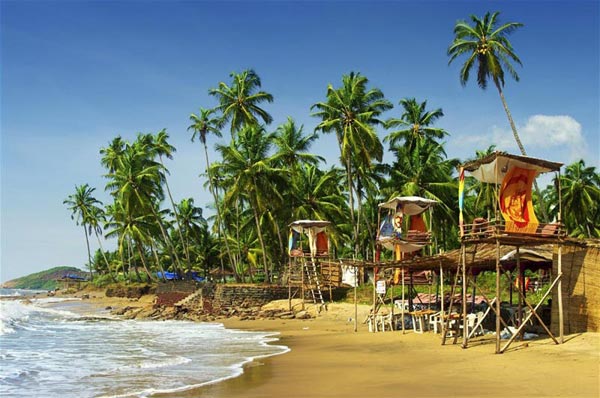 Goa Honeymoon Special With Tripper Route Package