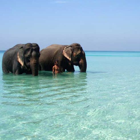 Andaman Tour
