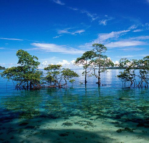 Andaman Tour Package