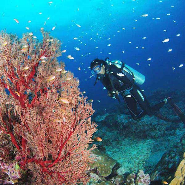 Andaman Tour Package