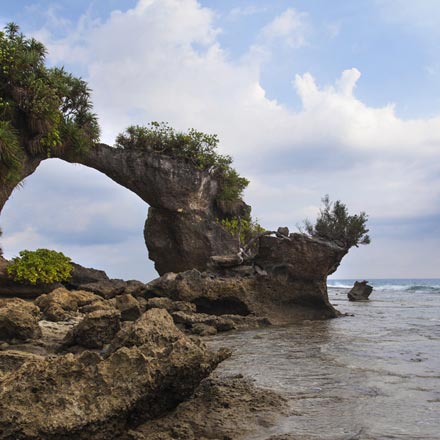 Andaman Tour Package