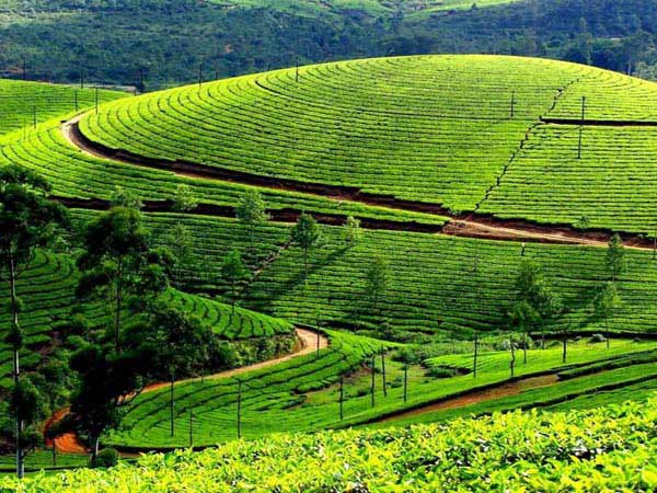 Best Of South India Tour Package
