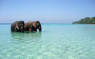 Andaman Luxurious Honeymoon Tour