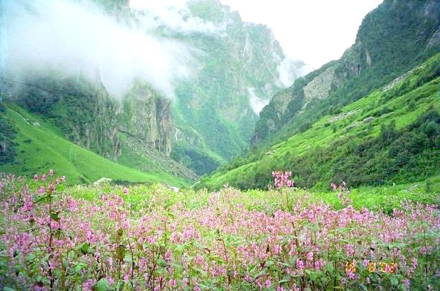 08 Nights 09 Days – Darjeeling (2 Nights), Pelling (2 Nights), Gangtok (2+1 Nights), Lachung (1 Ni