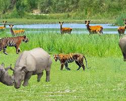 5 Nights 6 Days Nepal Tour Package