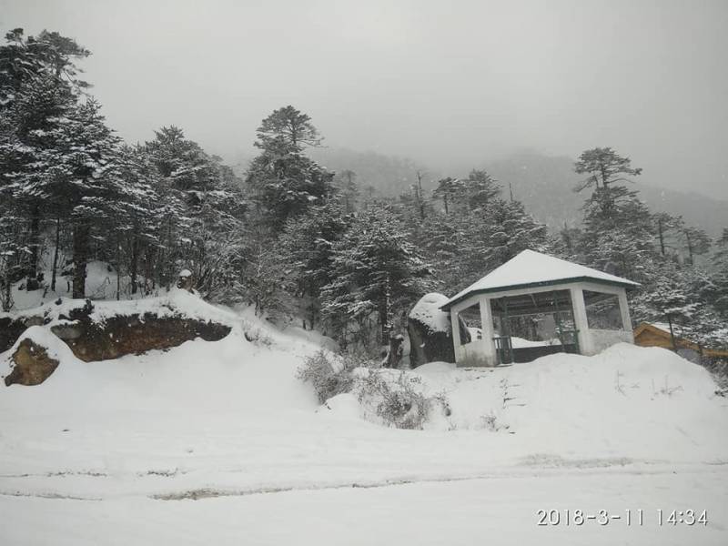 6 Days Shimla – Manali Tour