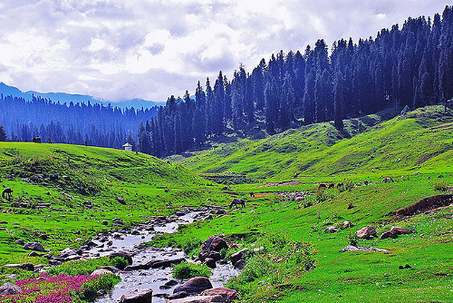 Kashmir Tour Package