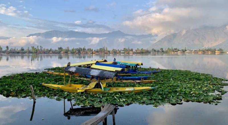 Kashmir Tour Package