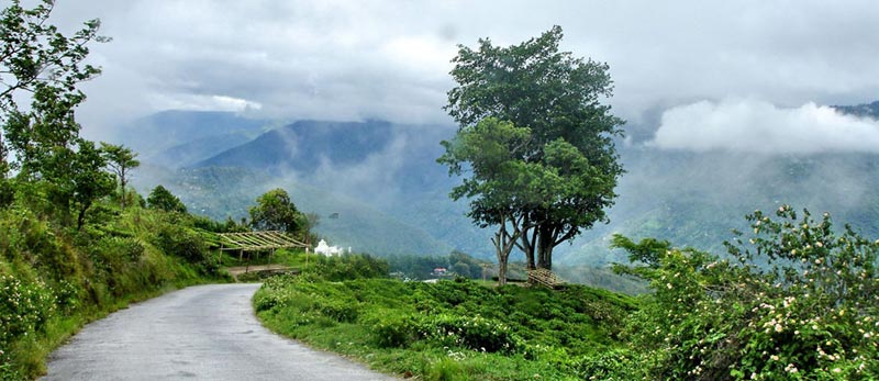 Kolkata - Darjeeling - Gangtok Tour