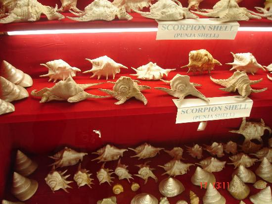 Amazing Andaman Tour