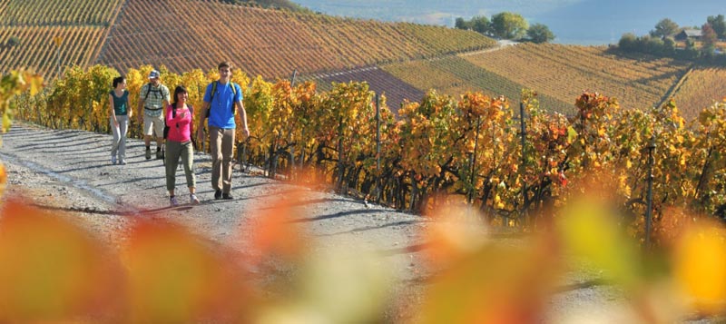 Grand Tour of Switzerland Package