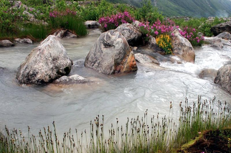 Majestic Valley of Flowers & Hemkund Sahib with Badrinath & Auli Tour