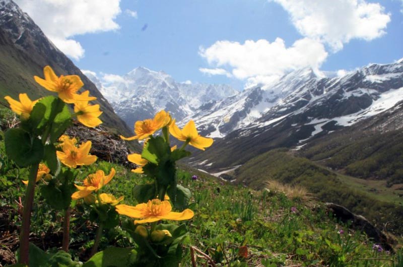 Majestic Valley of Flowers & Hemkund Sahib with Badrinath & Auli Tour