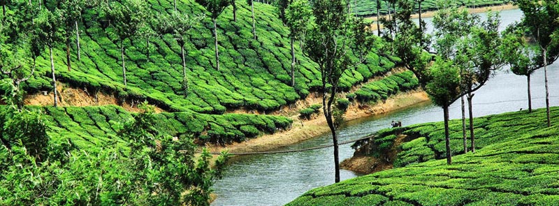God Own Country Kerala Tour