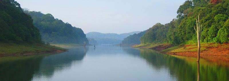 God Own Country Kerala Tour