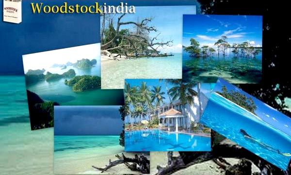 All In Andaman Tour