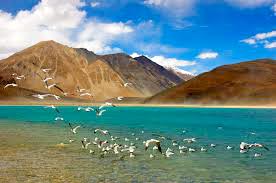 Pangong Lake With Valley Of Flowers From Woodstock India Tour
