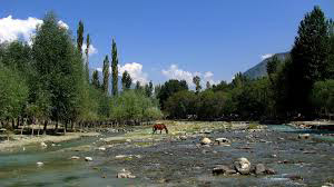 Kashmir Nature Tour