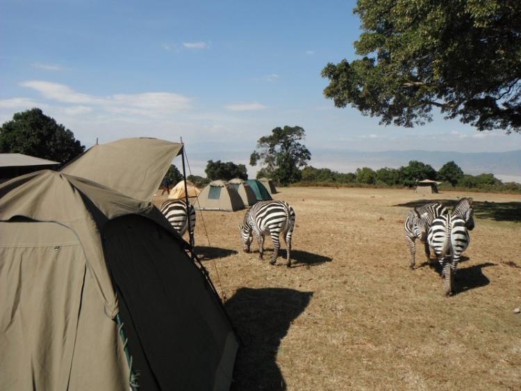 4 Days Serengeti Ngorongoro Crater Safari Package