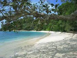 Andaman Beach Package
