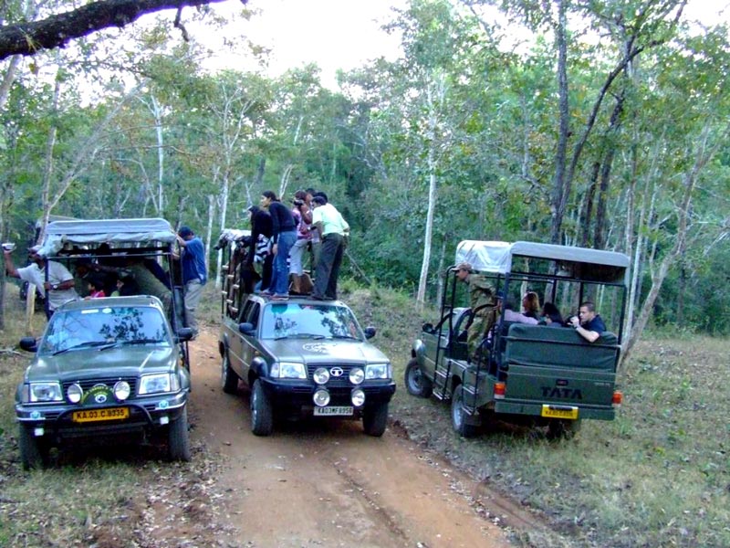 Safari Tour 4D/3N