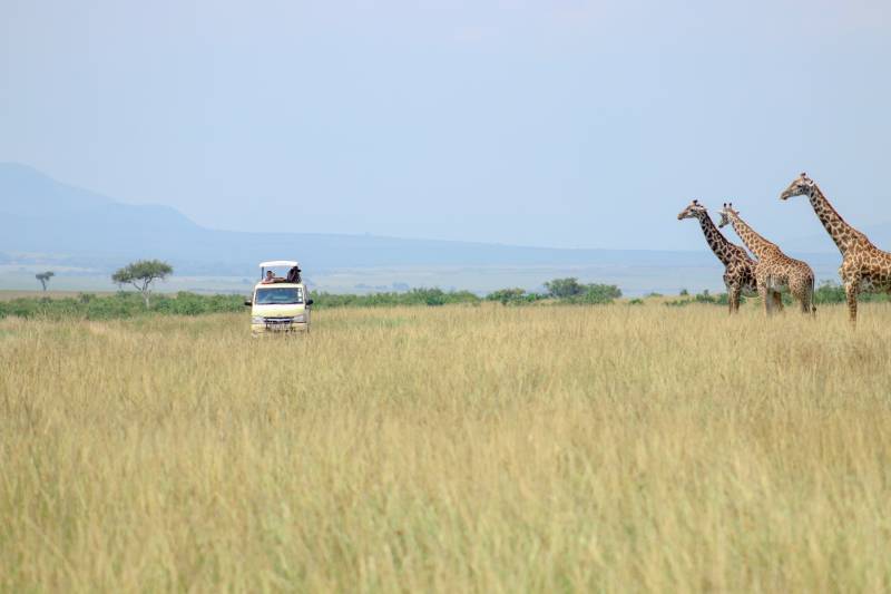 3 Days 2 Nights Masai Mara Safari Tour