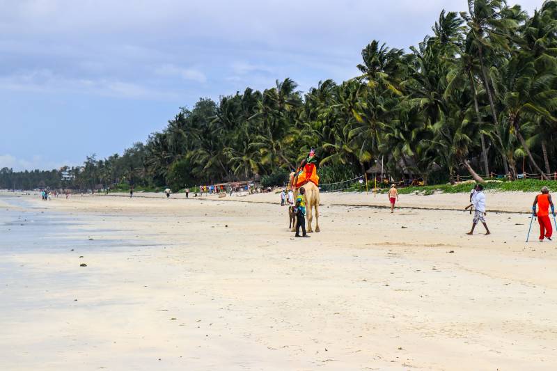 7 DAYS 6 NIGHTS NGUTUNI/TAITA SALTLICK/ZIWANI SANCTUARY/AMBOSELI/TSAVO WEST/TSAVO EAST SAFARI TOUR