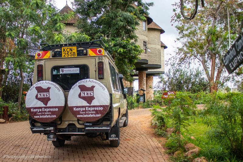 7 DAYS 6 NIGHTS NGUTUNI/TAITA SALTLICK/ZIWANI SANCTUARY/AMBOSELI/TSAVO WEST/TSAVO EAST SAFARI TOUR