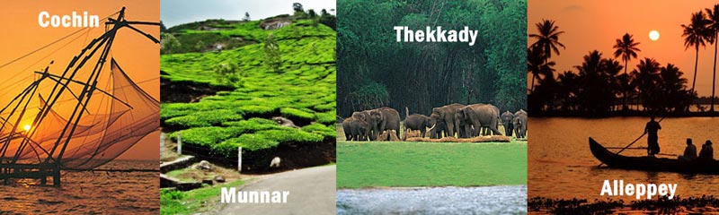 Kerala 4 Nights ( Athirappilly - Munnar - Alleppey) Tour