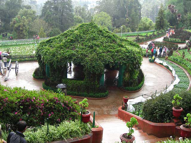 Queen's Of Hill Stations Ooty Tour