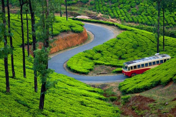 Kerala 5 Nights/ 6 Days Tour
