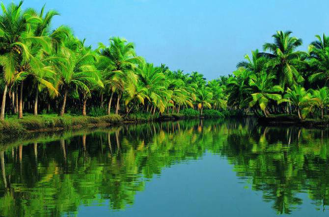 Kerala 5 Nights/ 6 Days Tour