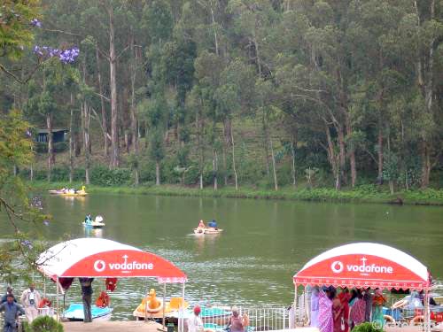 Bangalore Maysore Ooty Coorg Coaimbertour Tour